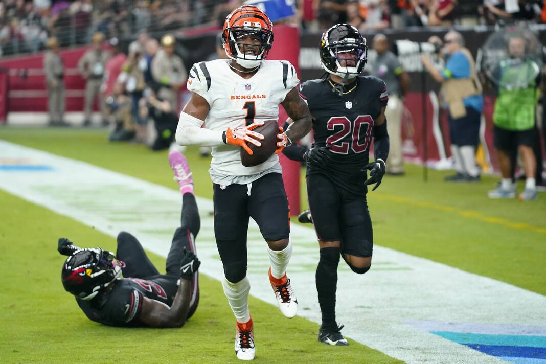 Joe Burrow leads Who Dey chant after Cincinnati's Thursday night win