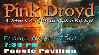 Pink Droyd: A Tribute to the Sights and Sounds of Pink Floyd